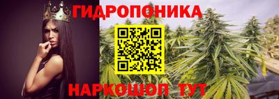 сатива Волгодонск