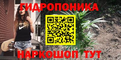 сатива Волгодонск