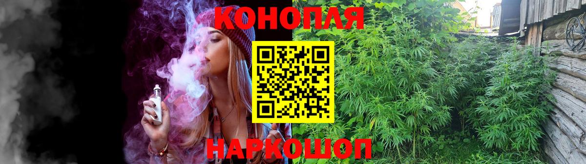 Канабис тримм  МАРИХУАНА планчик  Бошки марихуана конопля  Новотроицк  Вход с VPN 